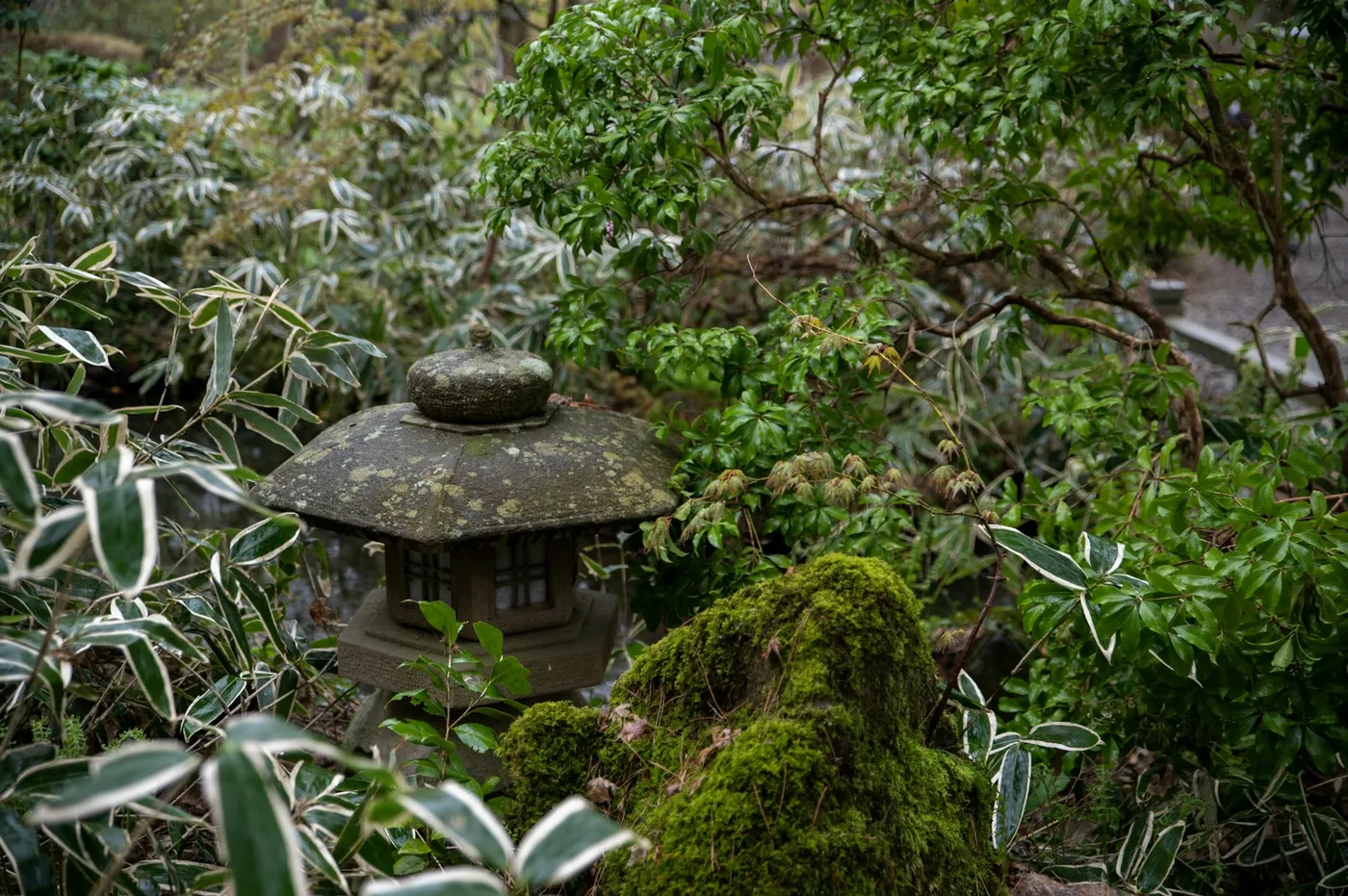 苔むした庭の石灯籠