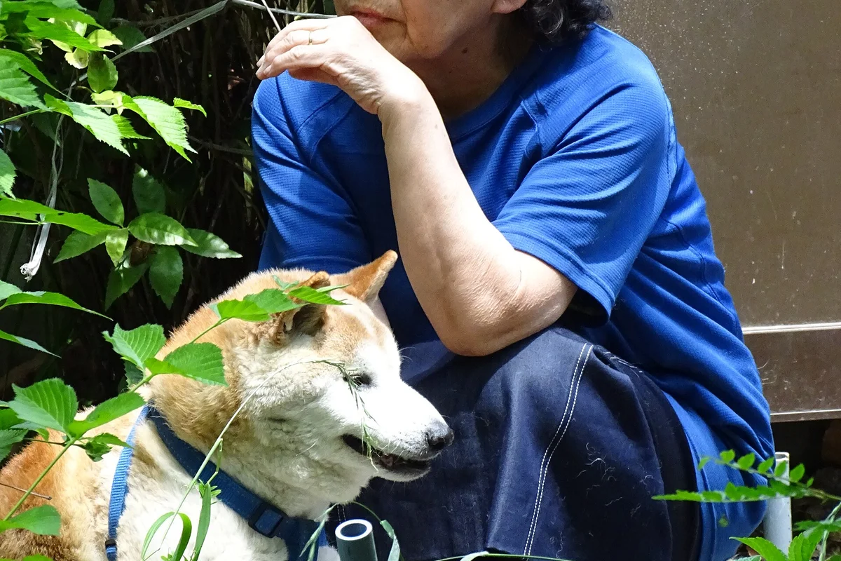 高齢者の手や腕