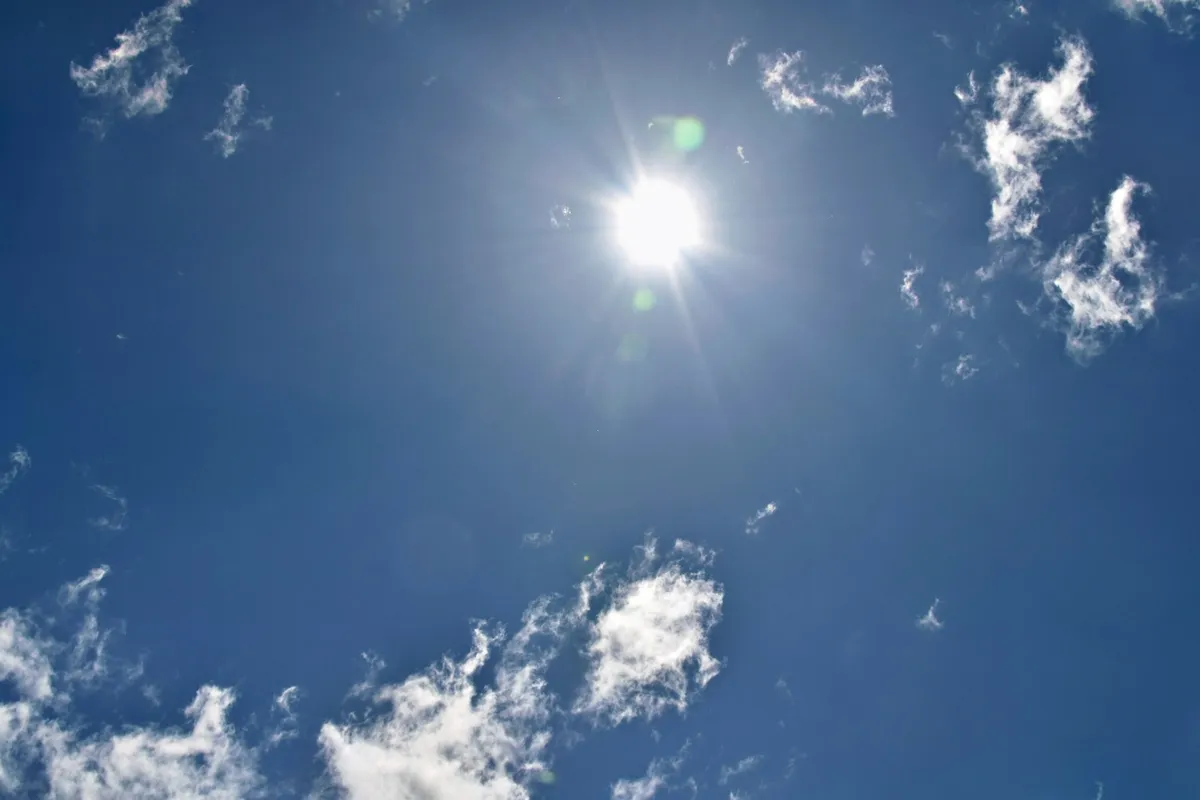 真夏の強い太陽
