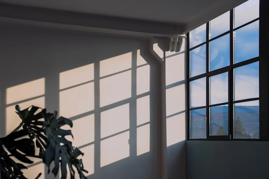 朝の光が差し込む窓辺