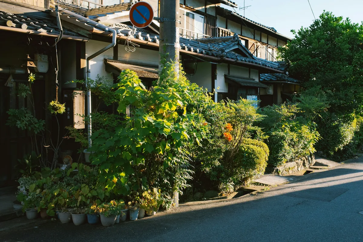 日中の住宅街の坂道