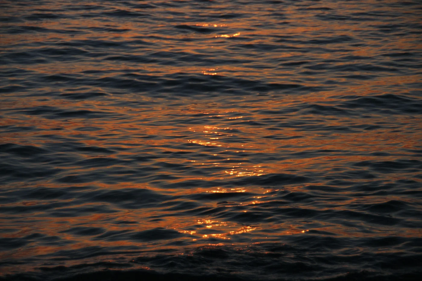 夕暮れの水面に映る金色の光